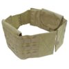 Plate Carrier/плитоноска Койот 3317
