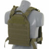 Плитоноска/Plate Carrier Олива + 3АК 6170